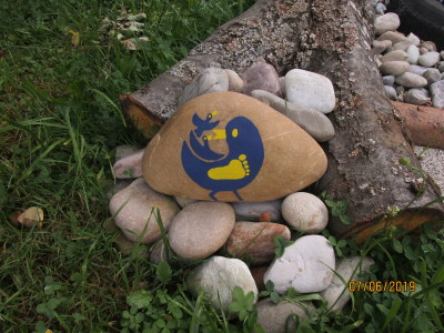 aktuellbild